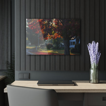 U R There Photography Red Crimson Leaves of Lum Rustic Farmhouse Acrylic Wall Print