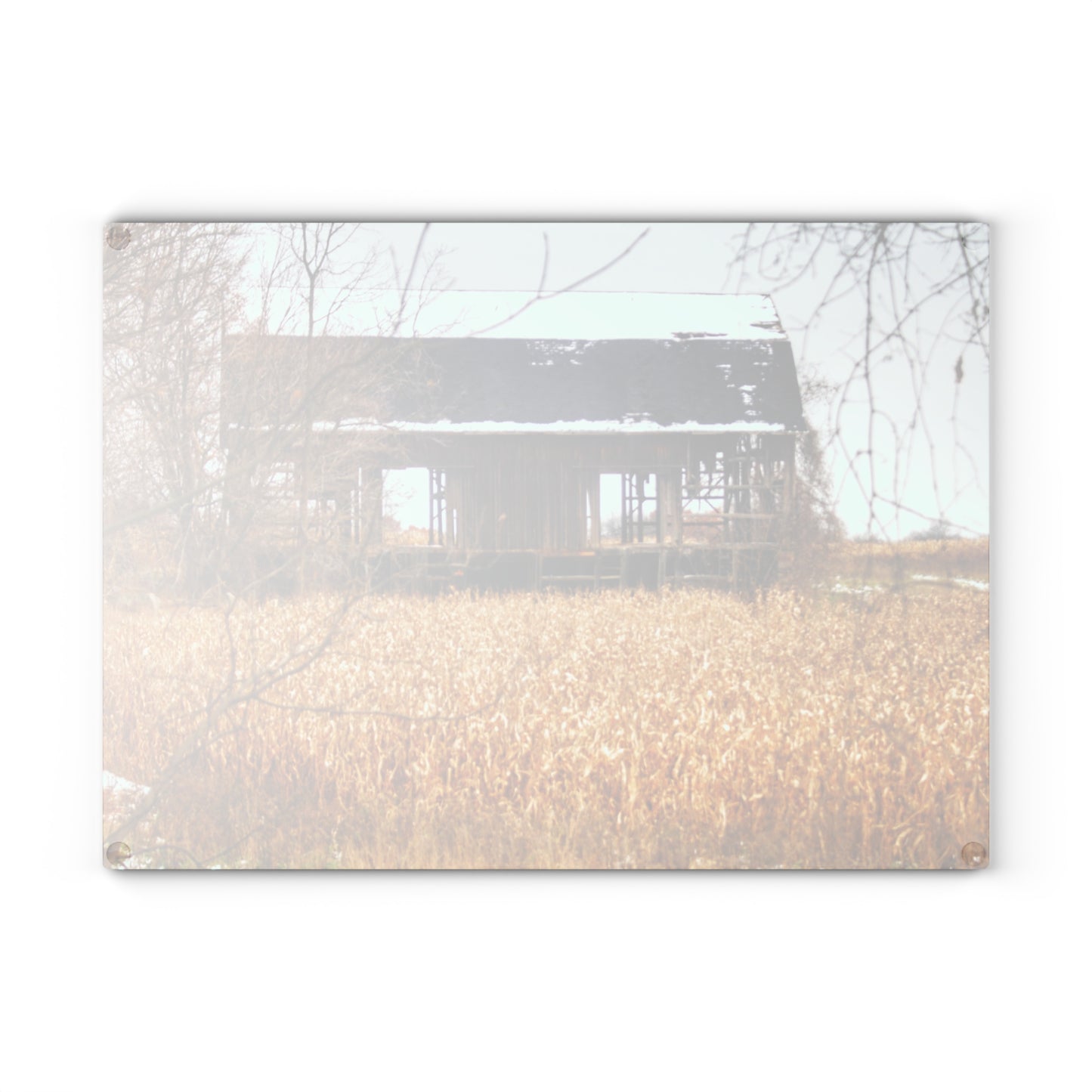 U R There Photography North Oxford Road Grey II Rustic Farmhouse Tempered-Glass Cutting Board