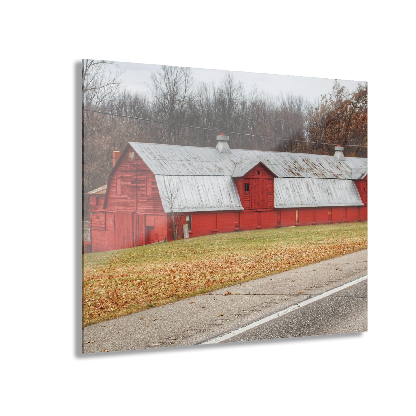U R There Photography Caseville Red Rustic Farmhouse Acrylic Wall Print