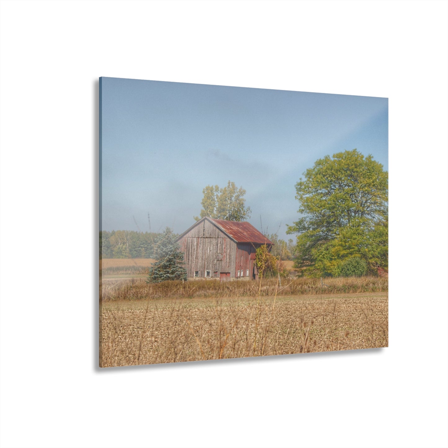 U R There Photography Brown City Wellman Line Road Little Red Rustic Farmhouse Acrylic Wall Print