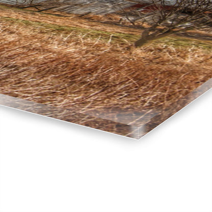 U R There Photography Newark Road White I Rustic Farmhouse Acrylic Wall Print