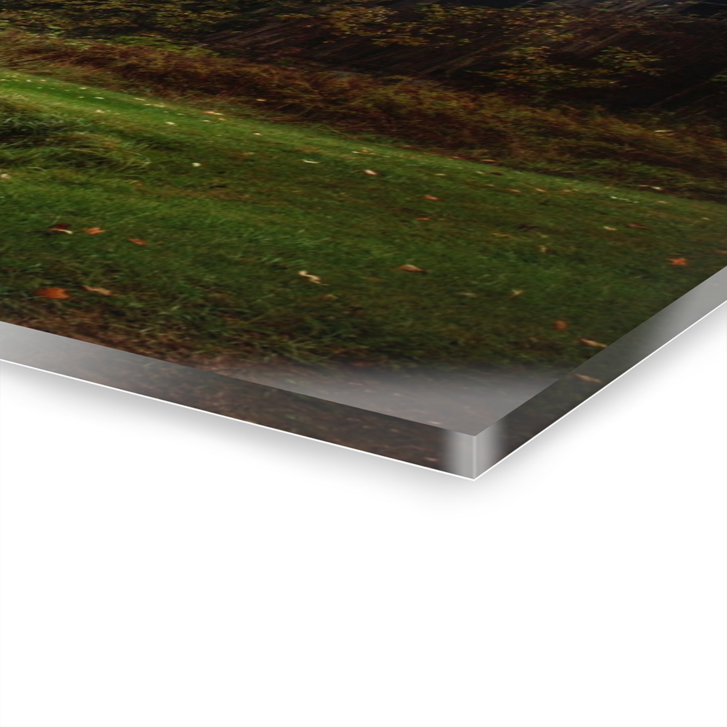 U R There Photography Day of Grey Rustic Farmhouse Acrylic Wall Print