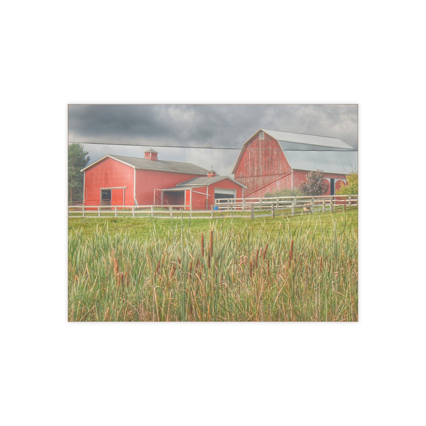 Barn Boutique Rustic Ceramic Wall Tile| Greenwood Reds