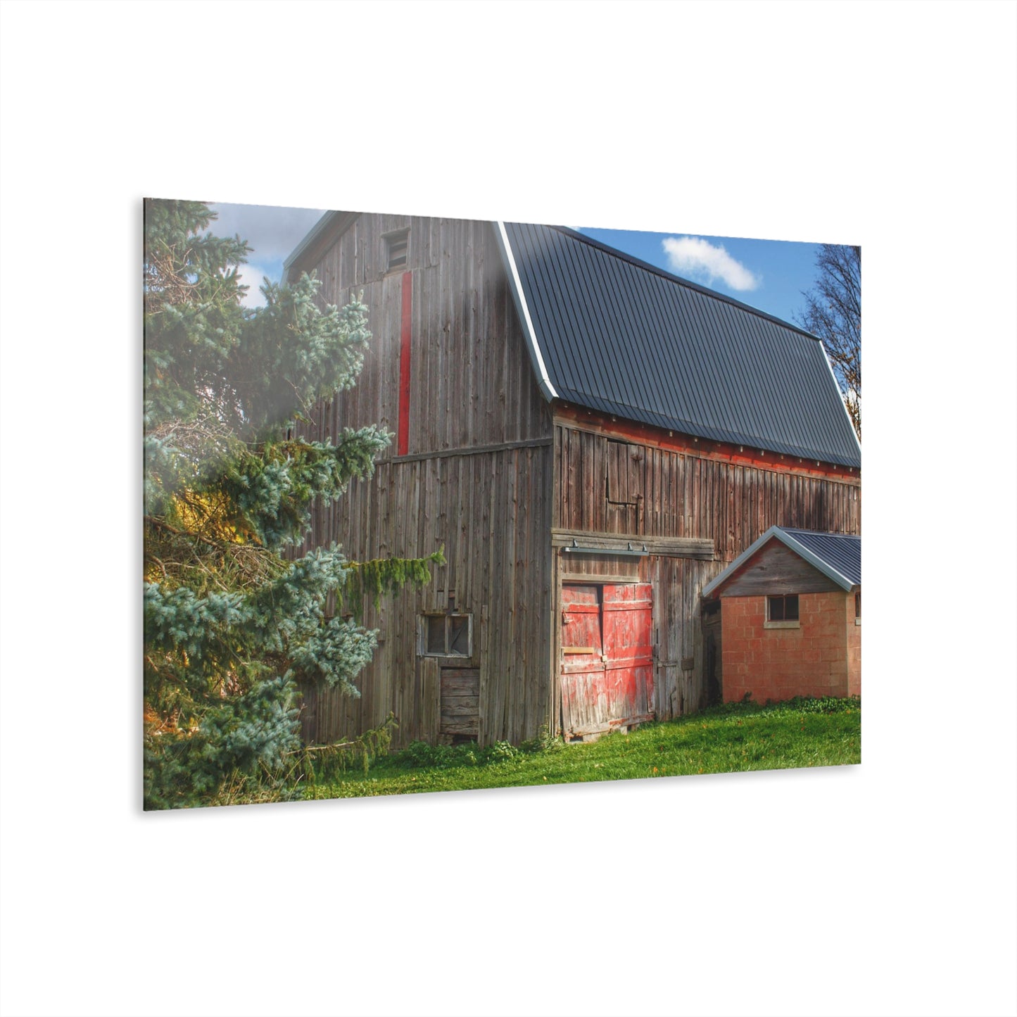 U R There Photography East Leonard Road Red Rustic Farmhouse Acrylic Wall Print