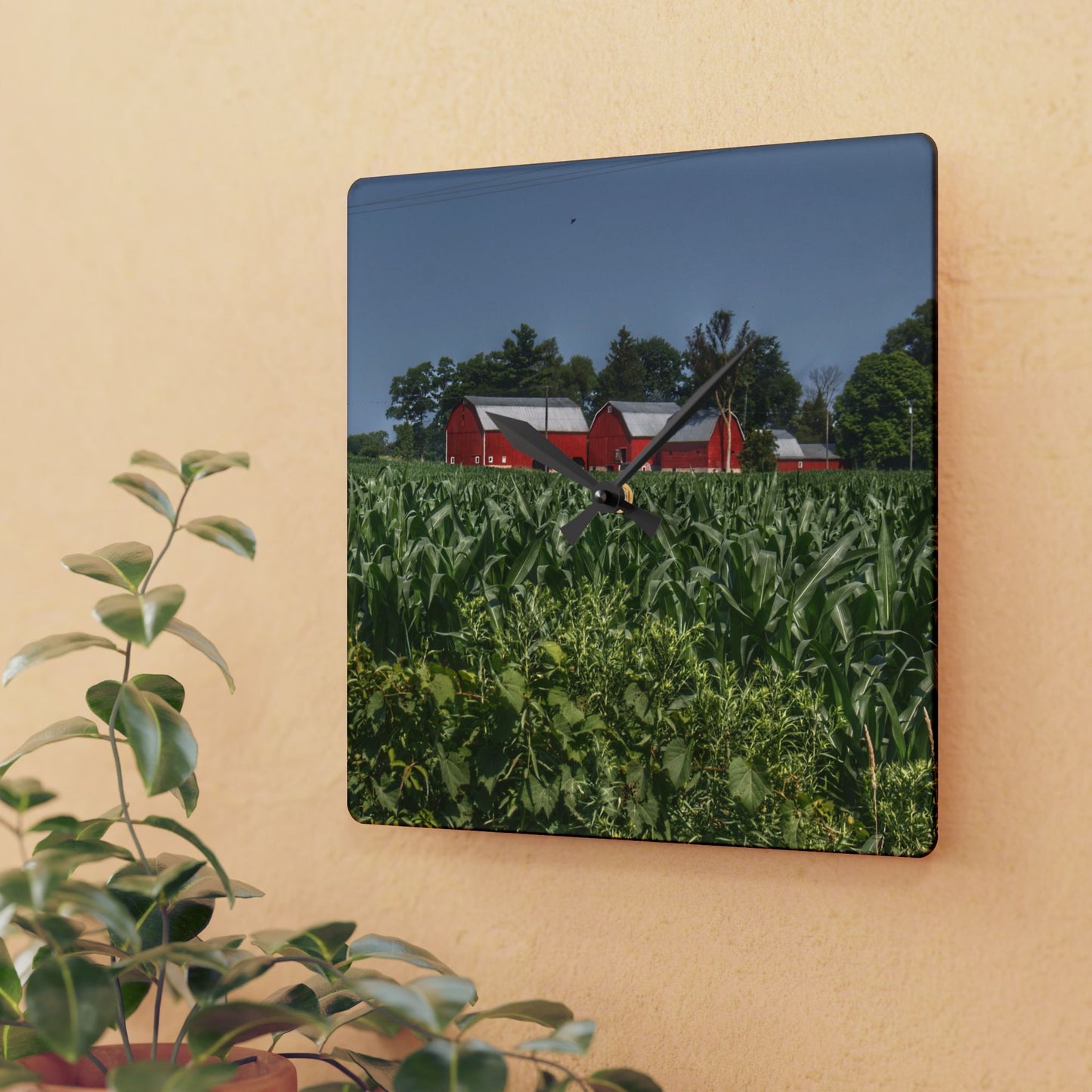 U R There Photography Shoemaker Road Reds Beyond the Corn Rustic Farmhouse Acrylic Analog Wall Clock