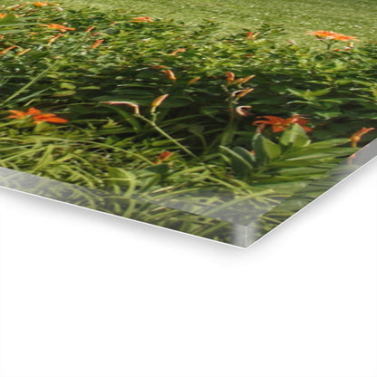 U R There Photography Millington Road Lilly Grey Rustic Farmhouse Acrylic Wall Print