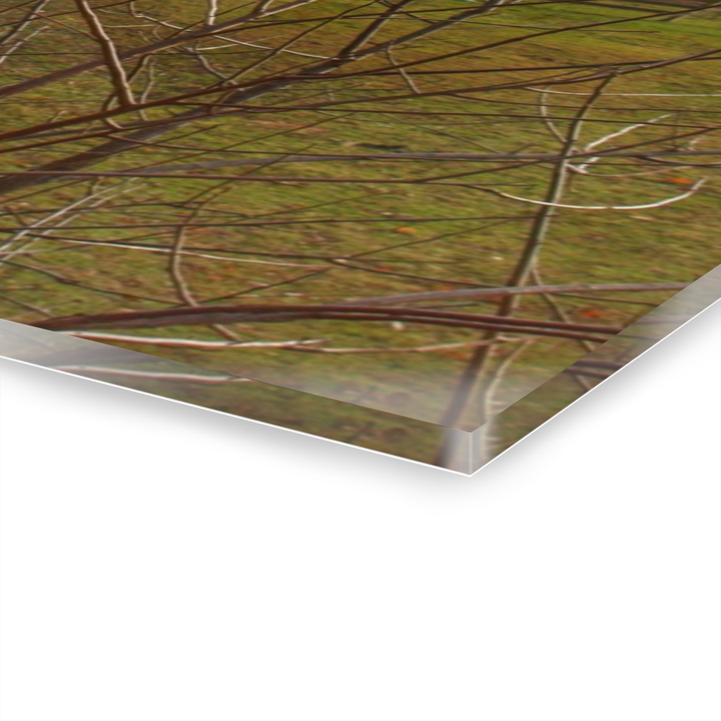 U R There Photography Laur Road Hidden Red Rustic Farmhouse Acrylic Wall Print