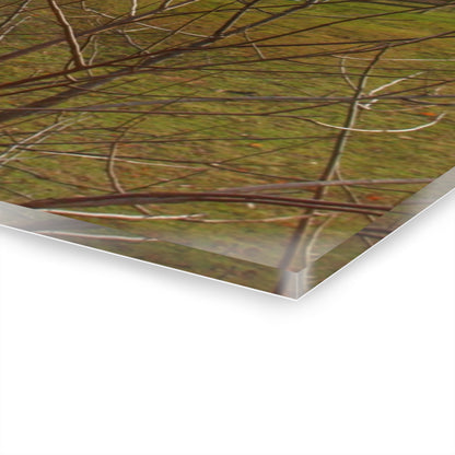 U R There Photography Laur Road Hidden Red Rustic Farmhouse Acrylic Wall Print