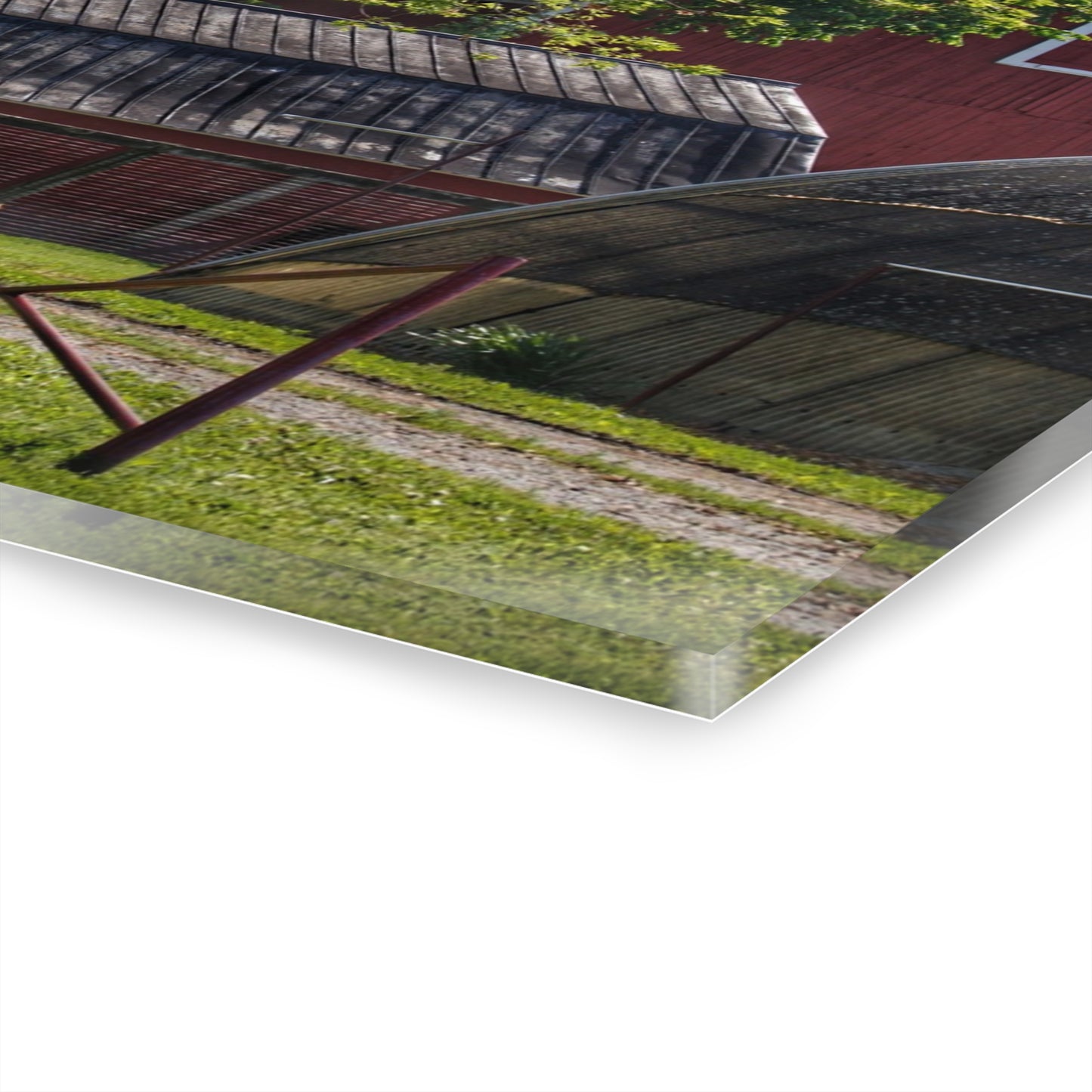 U R There Photography Hidden Reds Rustic Farmhouse Acrylic Wall Print