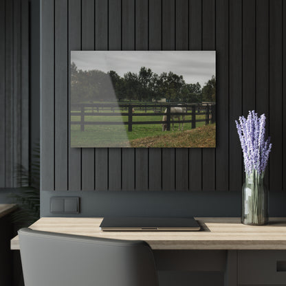 Barn Boutique Modern Farmhouse Acrylic Wall Print| Beyond the Fence White