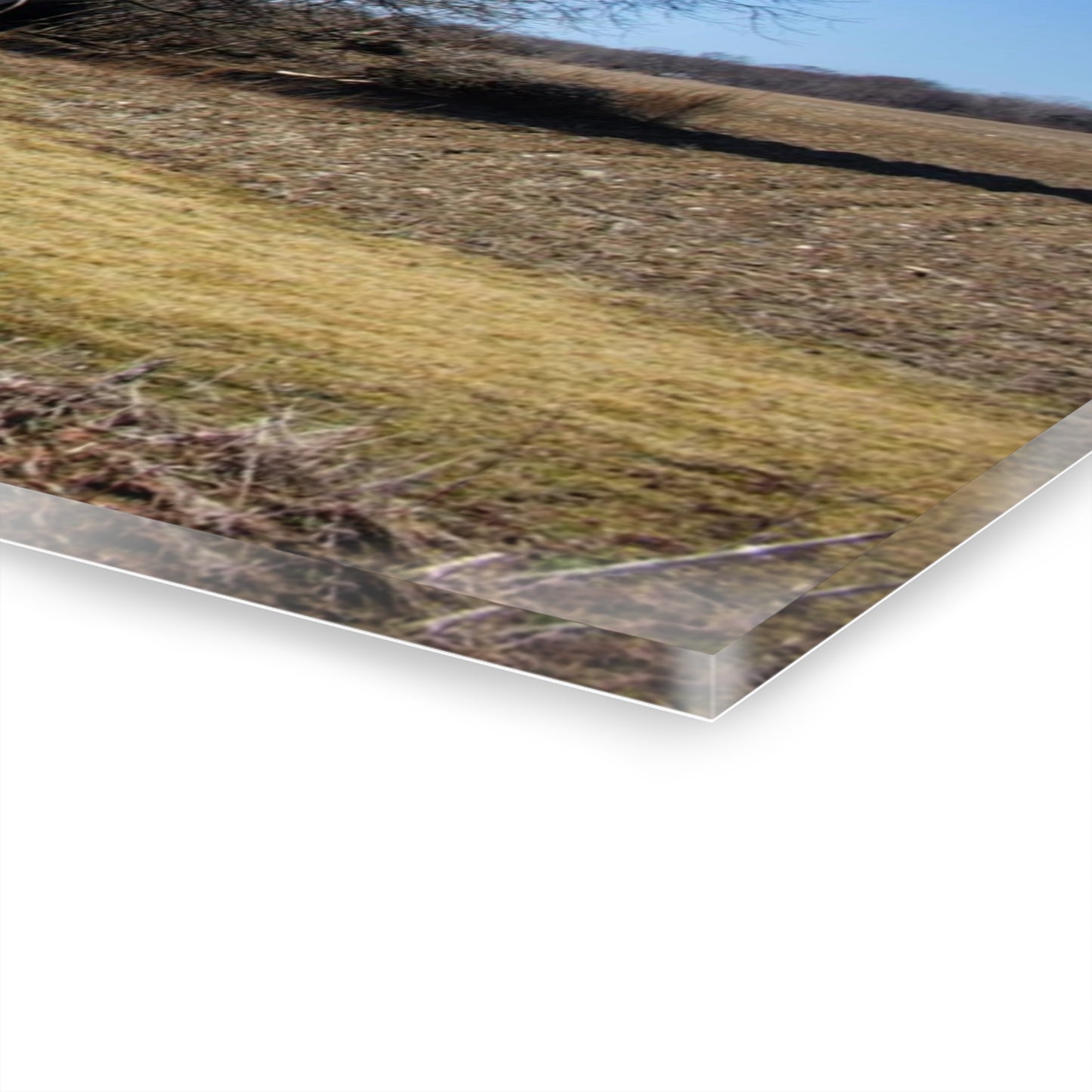 U R There Photography North Irish Red I Rustic Farmhouse Acrylic Wall Print