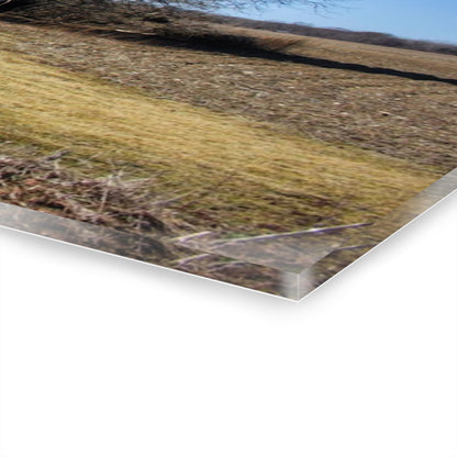 U R There Photography North Irish Red I Rustic Farmhouse Acrylic Wall Print