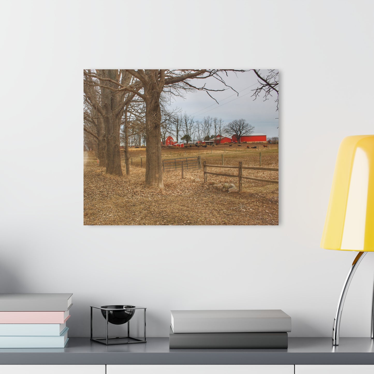 U R There Photography Wilder Road Cow Farm Rustic Farmhouse Acrylic Wall Print