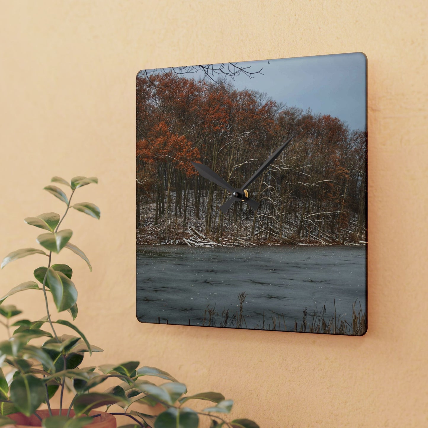 U R There Photography The Freeze of Thornville Rustic Farmhouse Acrylic Analog Wall Clock
