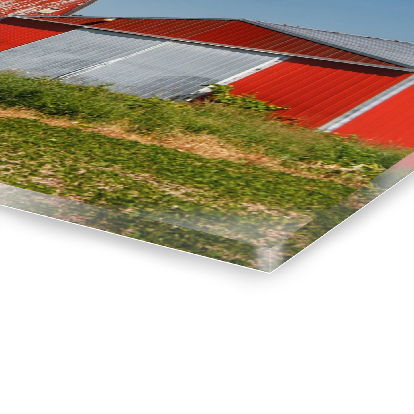 U R There Photography Greenwood Road Red I Rustic Farmhouse Acrylic Wall Print