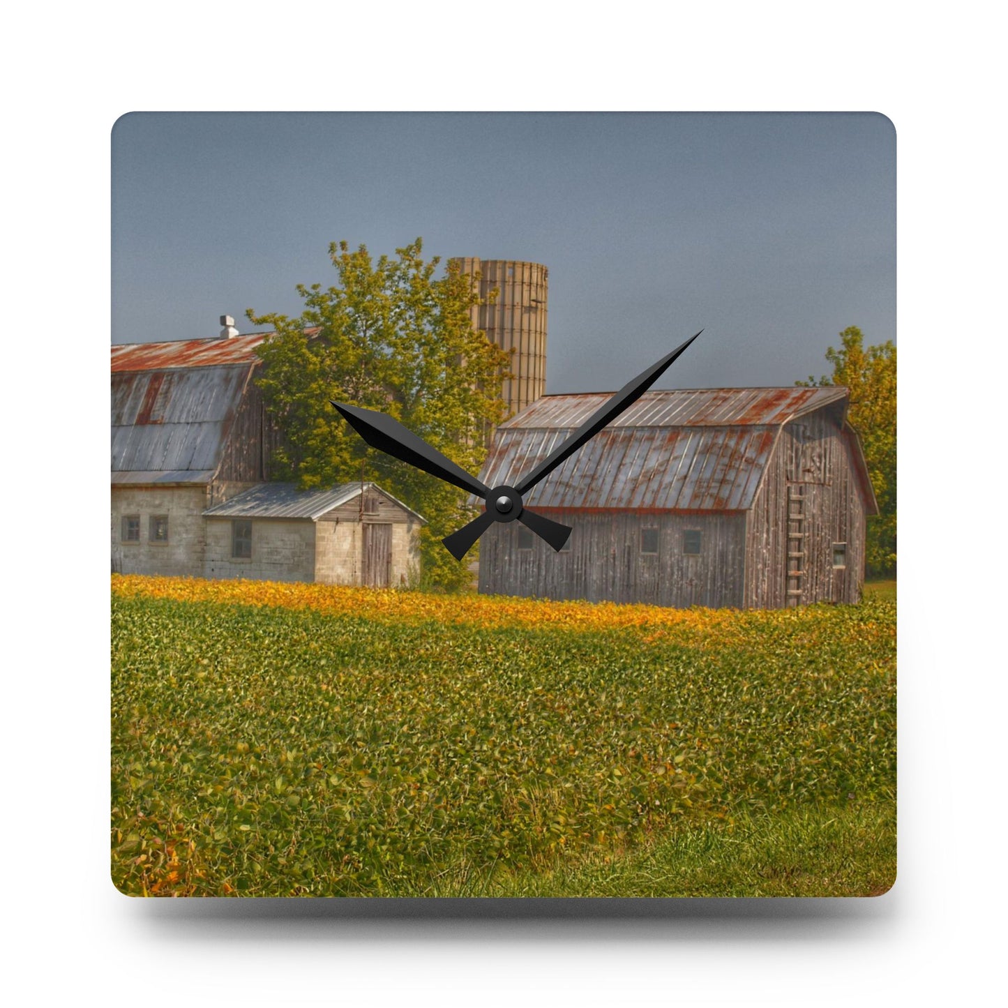 U R There Photography Swaffer Road Duo Rustic Farmhouse Acrylic Analog Wall Clock