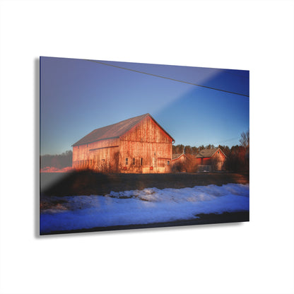 U R There Photography M-15 Reds in Winter Rustic Farmhouse Acrylic Wall Print