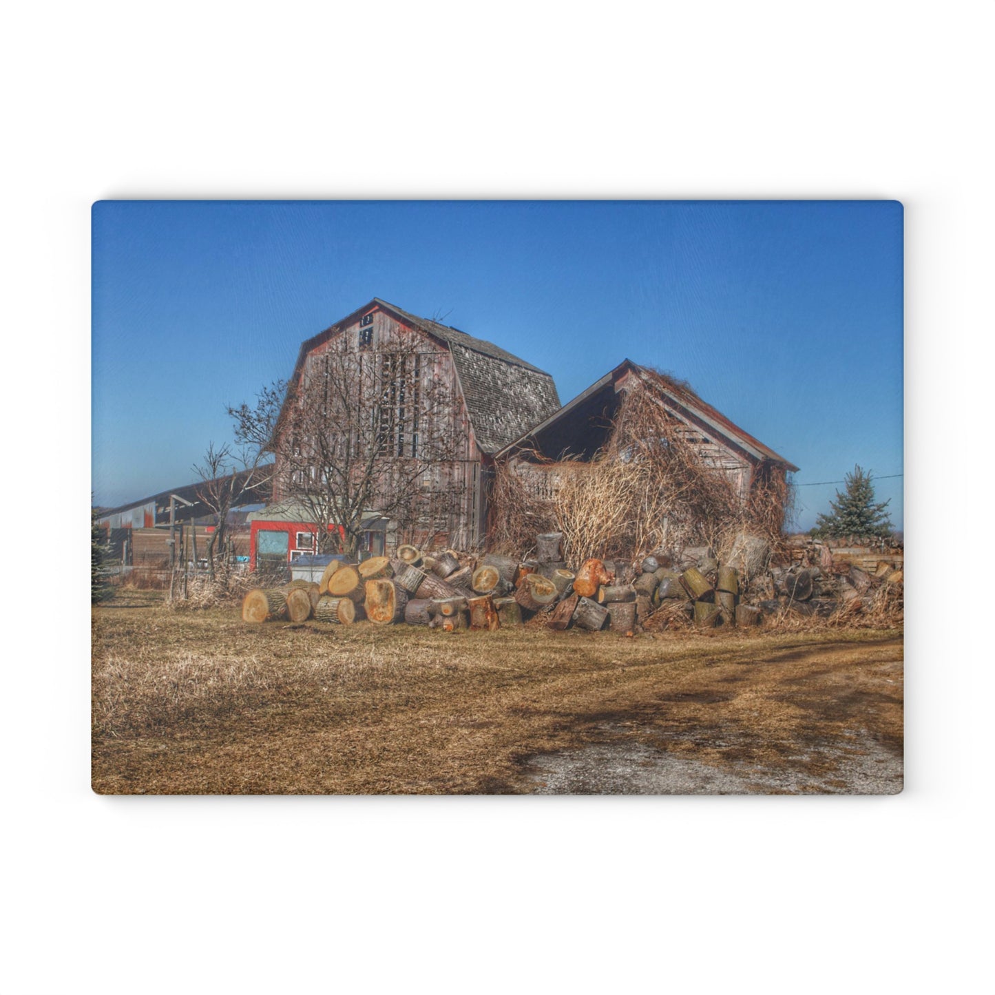 U R There Photography Dutcher Road Grey Rustic Farmhouse Tempered-Glass Cutting Board
