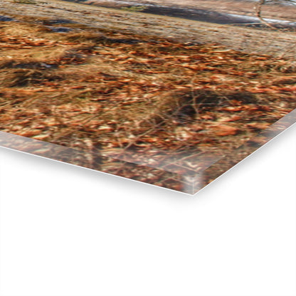 U R There Photography M-24 Barn at the Bend I Rustic Farmhouse Acrylic Wall Print