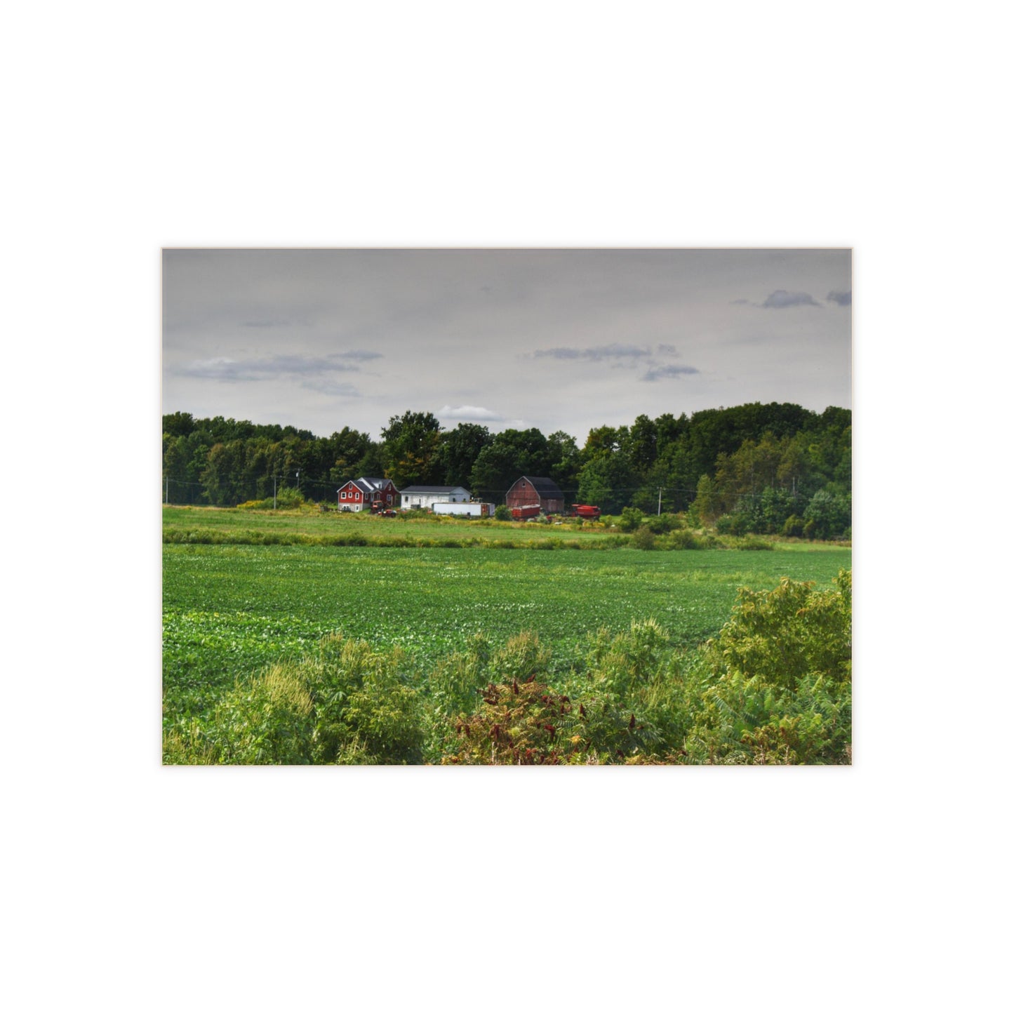 U R There Photography Across the Field in Silverwood Rustic Farmhouse Decorative Ceramic Tile