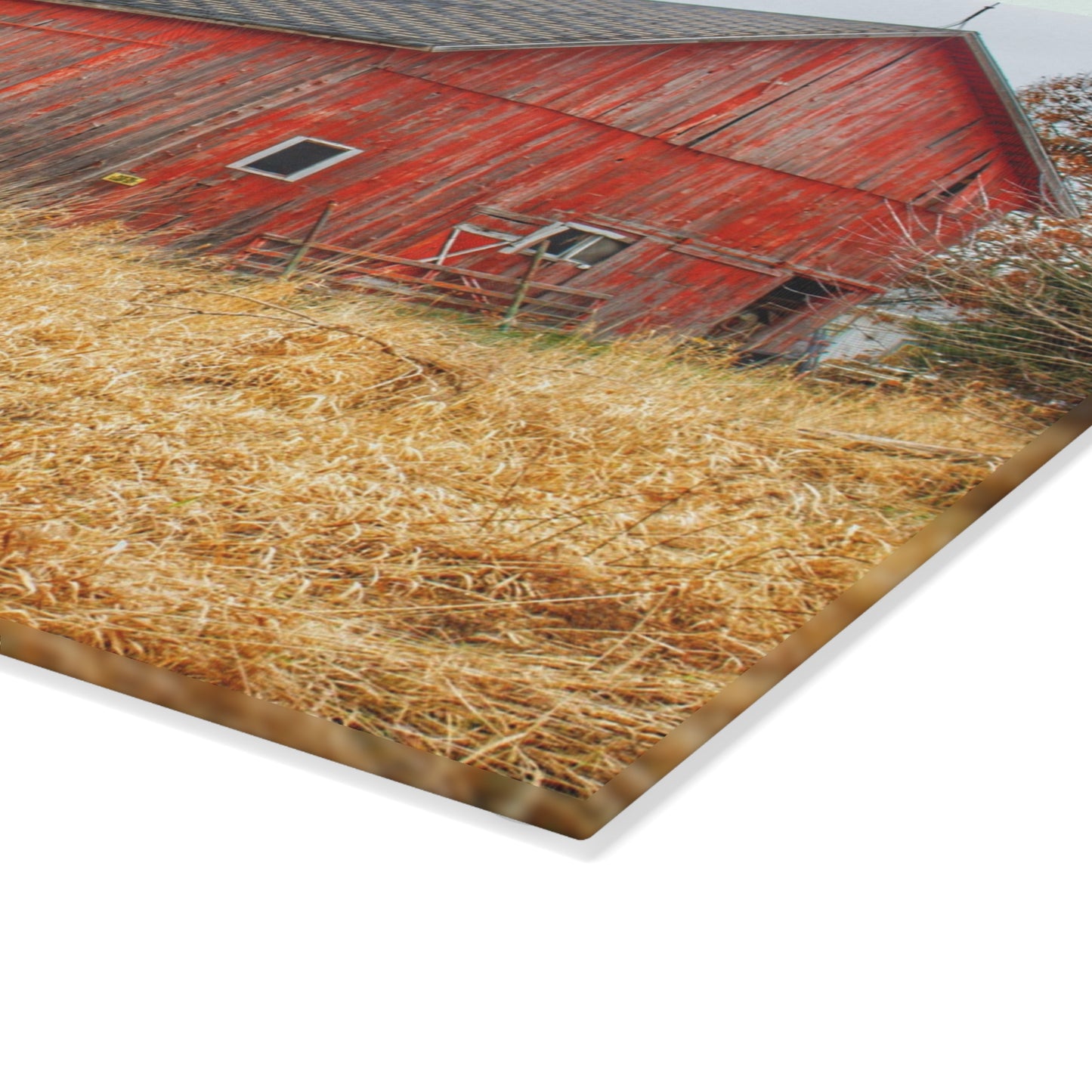 U R There Photography Harrington Road Red Rustic Farmhouse Tempered-Glass Cutting Board