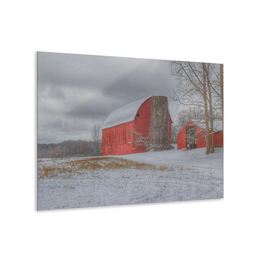 U R There Photography Catlin Reds in Winter II Rustic Farmhouse Acrylic Wall Print