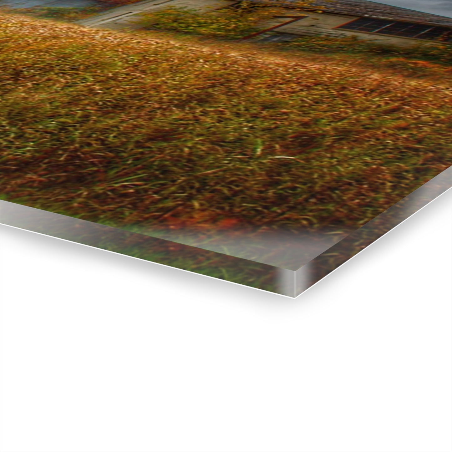 U R There Photography Farnsworth Forgotten Rustic Farmhouse Acrylic Wall Print