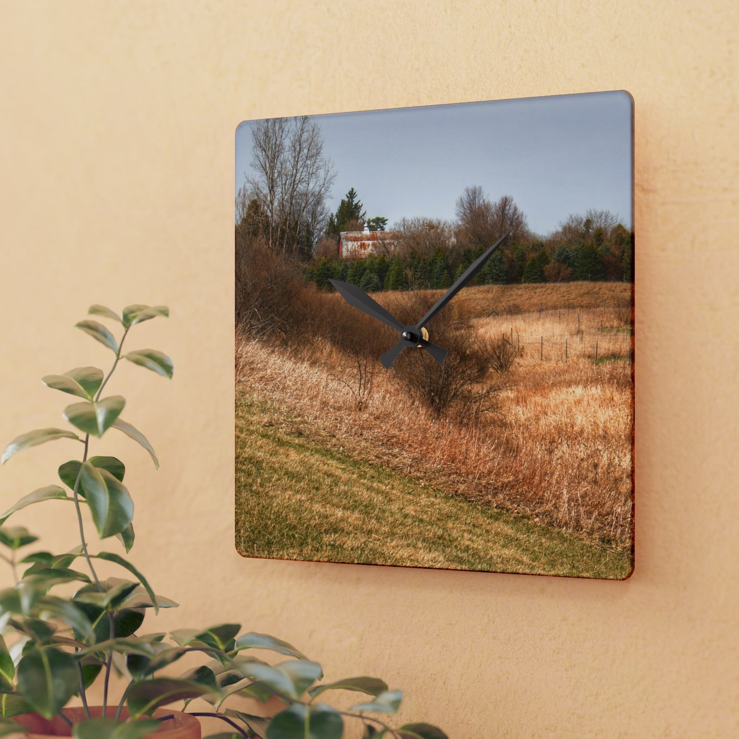 Barn Boutique Rustic Acrylic Analog Wall Clock| Beyond the Short Pines