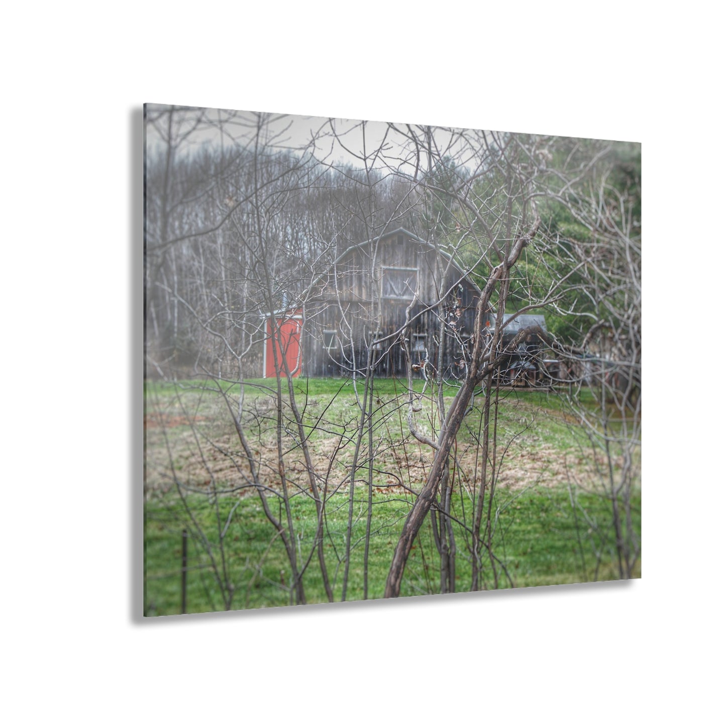 U R There Photography Hidden Capac Grey Rustic Farmhouse Acrylic Wall Print