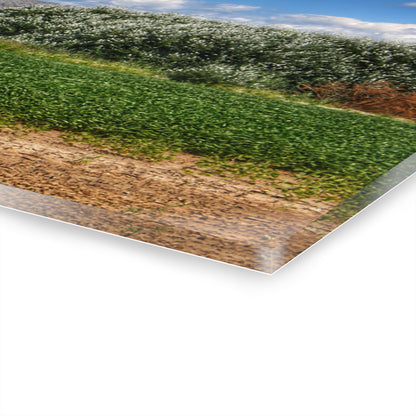 U R There Photography Lake Road Grey Rustic Farmhouse Acrylic Wall Print