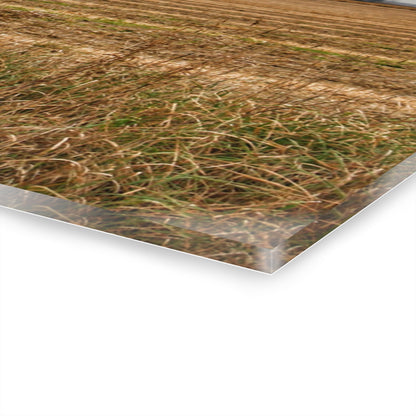 U R There Photography Freiberger Road Grey Across the Field Rustic Farmhouse Acrylic Wall Print