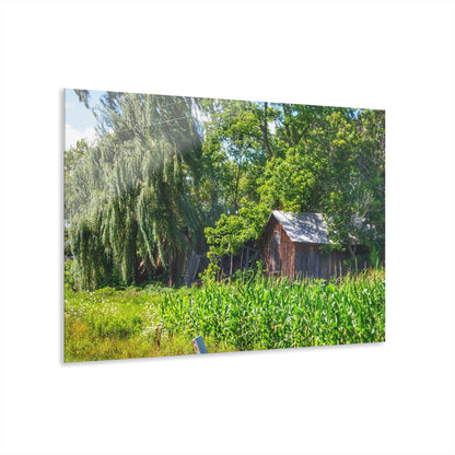 U R There Photography Roadside Ruin Rustic Farmhouse Acrylic Wall Print