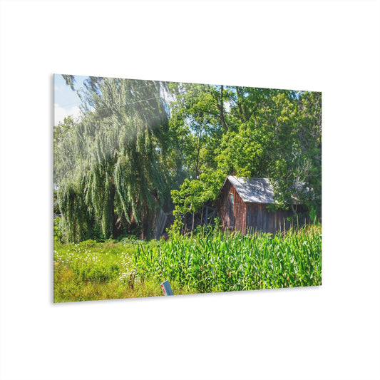 U R There Photography Roadside Ruin Rustic Farmhouse Acrylic Wall Print