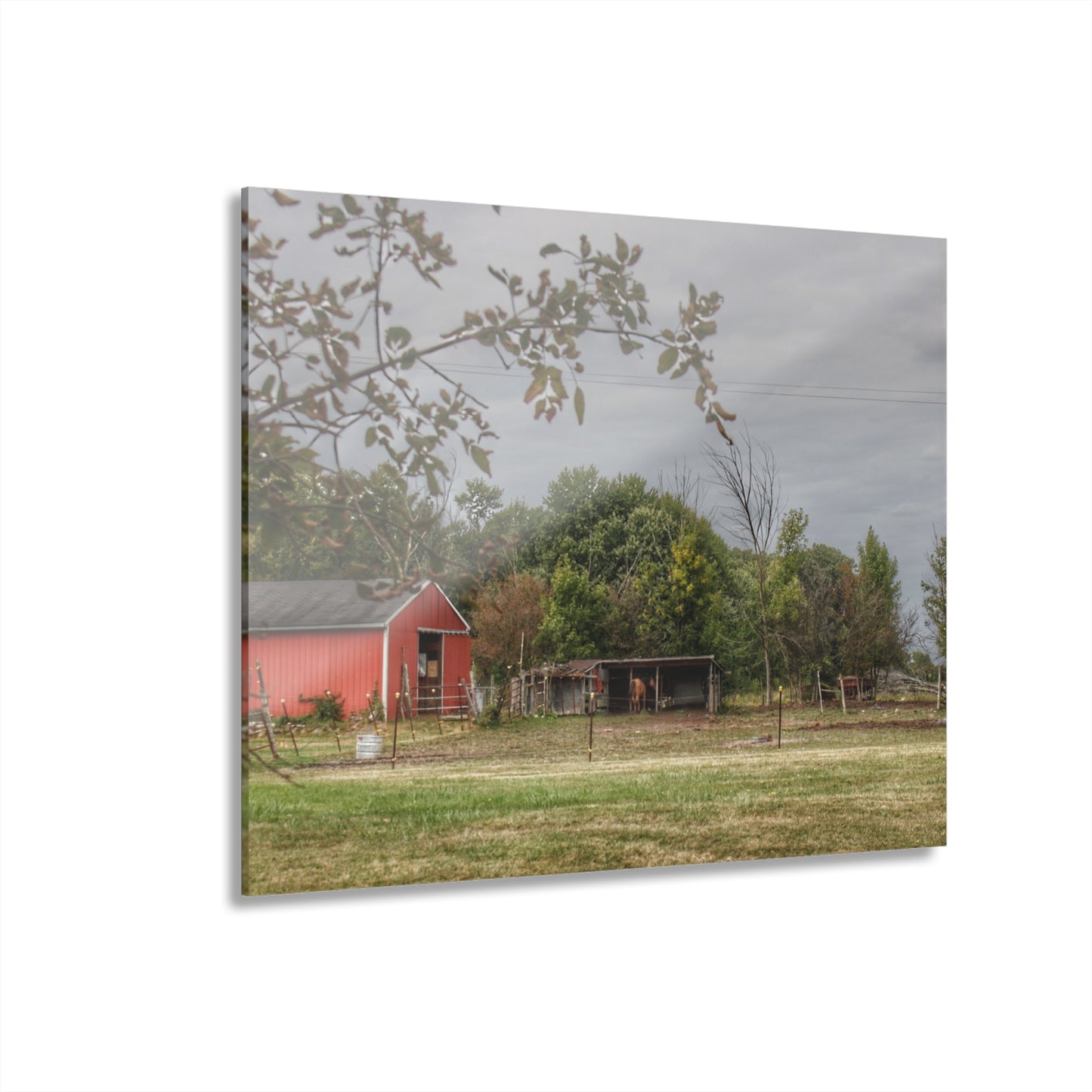 U R There Photography Petz Road Farm Rustic Farmhouse Acrylic Wall Print