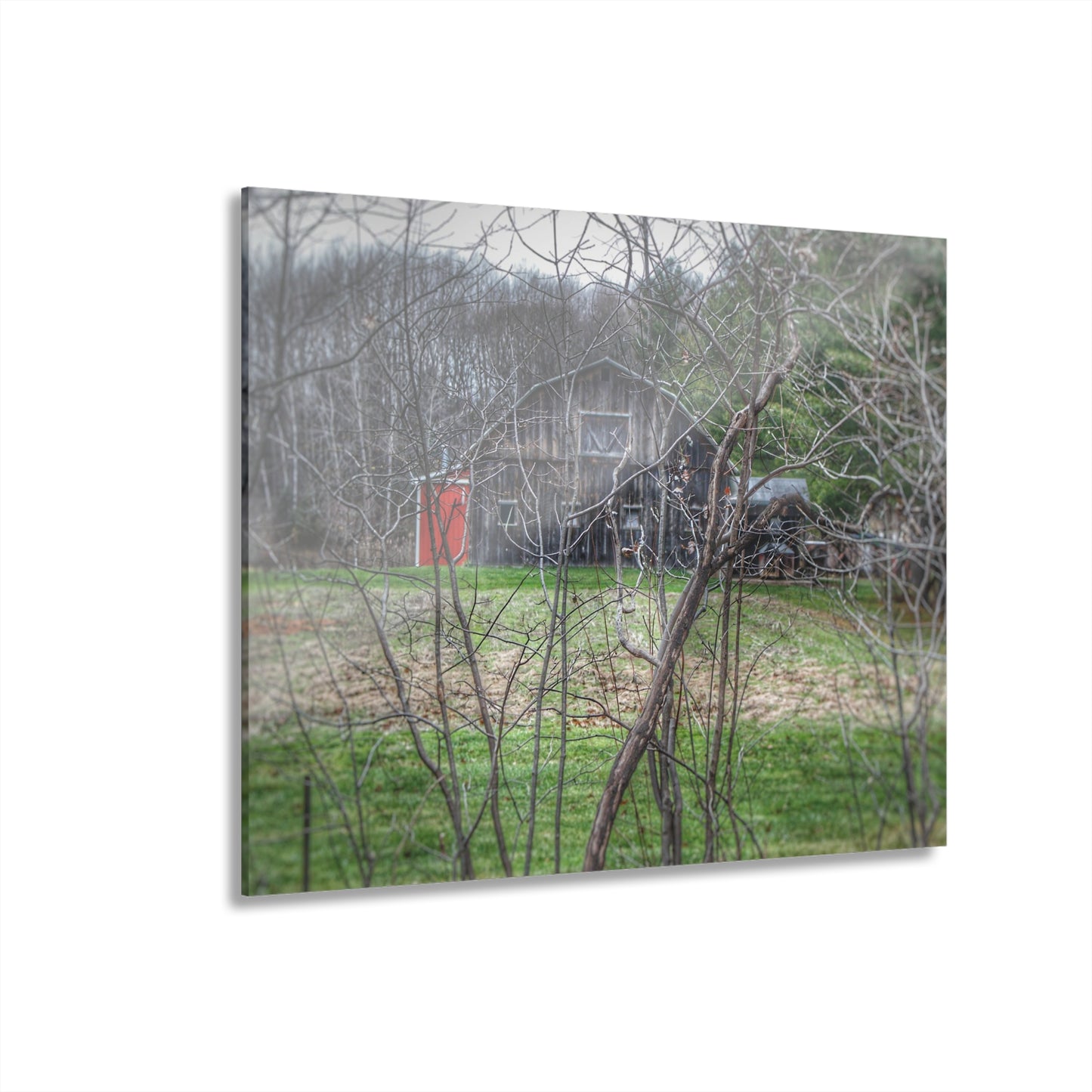U R There Photography Hidden Capac Grey Rustic Farmhouse Acrylic Wall Print