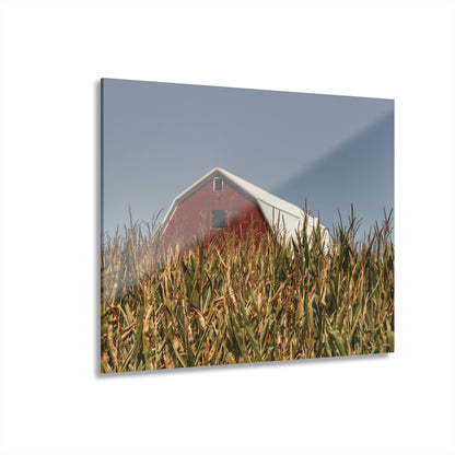 Beyond the Corn Rustic Farmhouse Acrylic Wall Print