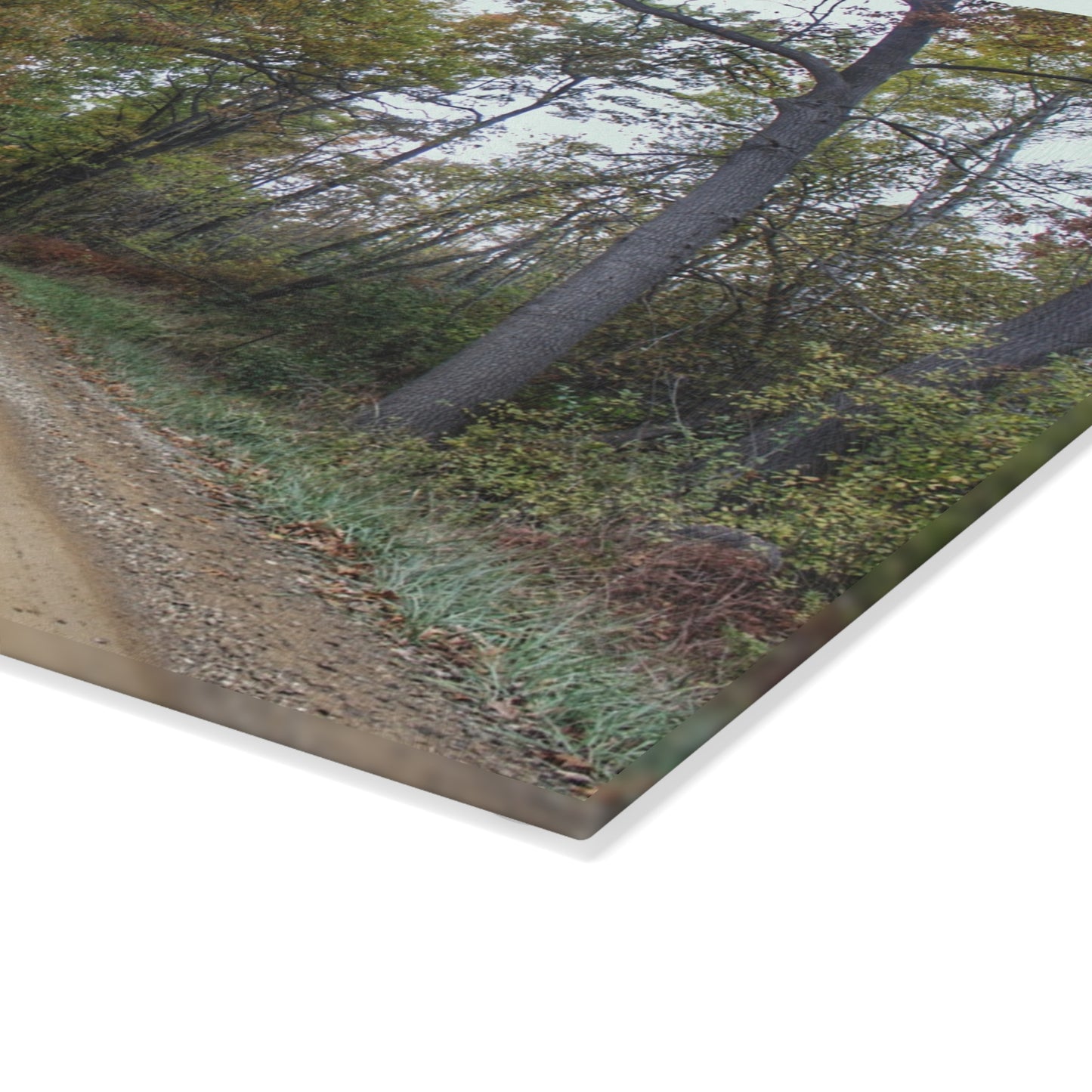 U R There Photography Country Roads in Dryden II Rustic Farmhouse Tempered-Glass Cutting Board