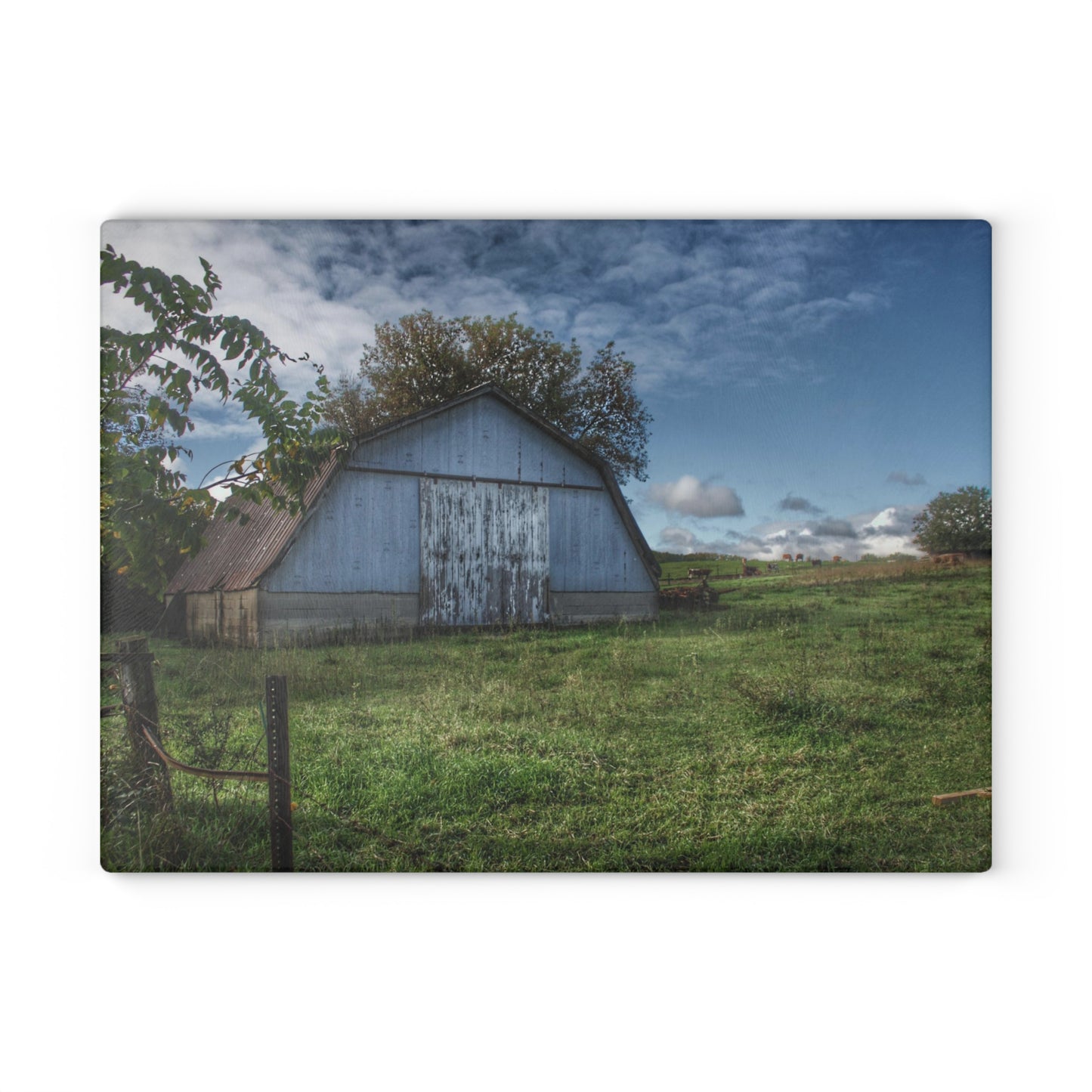 U R There Photography East Frances Quonset and Cows Rustic Farmhouse Tempered-Glass Cutting Board