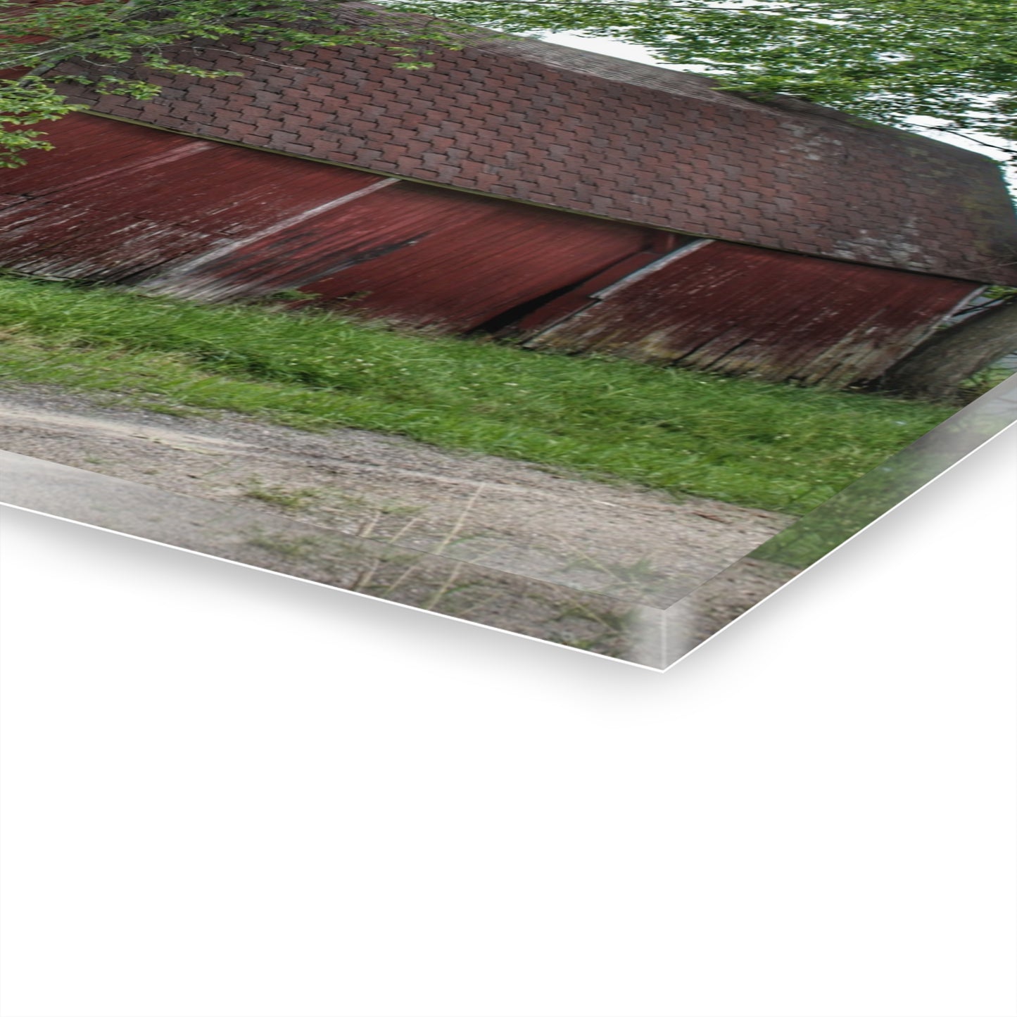 U R There Photography West Murphy Lake Red Rustic Farmhouse Acrylic Wall Print