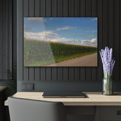 U R There Photography Gilford Road Corn Row Rustic Farmhouse Acrylic Wall Print