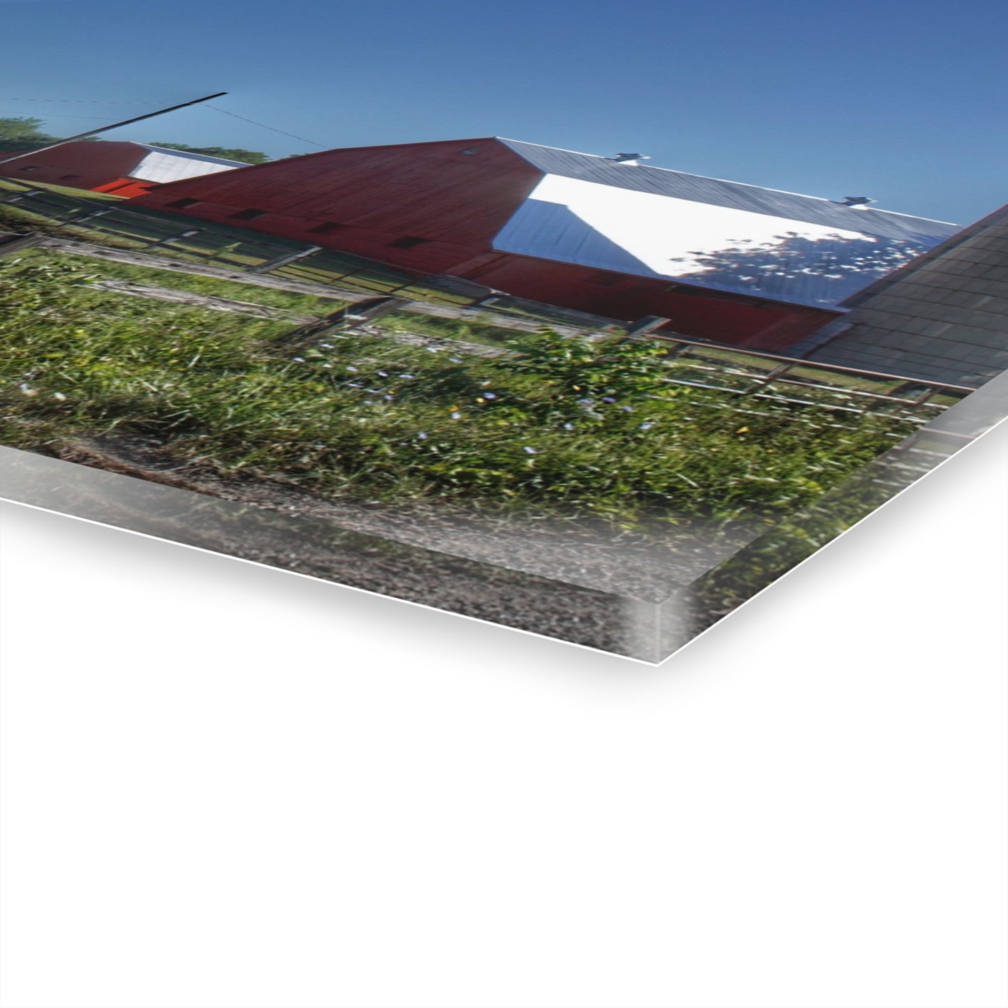 U R There Photography Mount Morris Road Farm and Horse Rustic Farmhouse Acrylic Wall Print