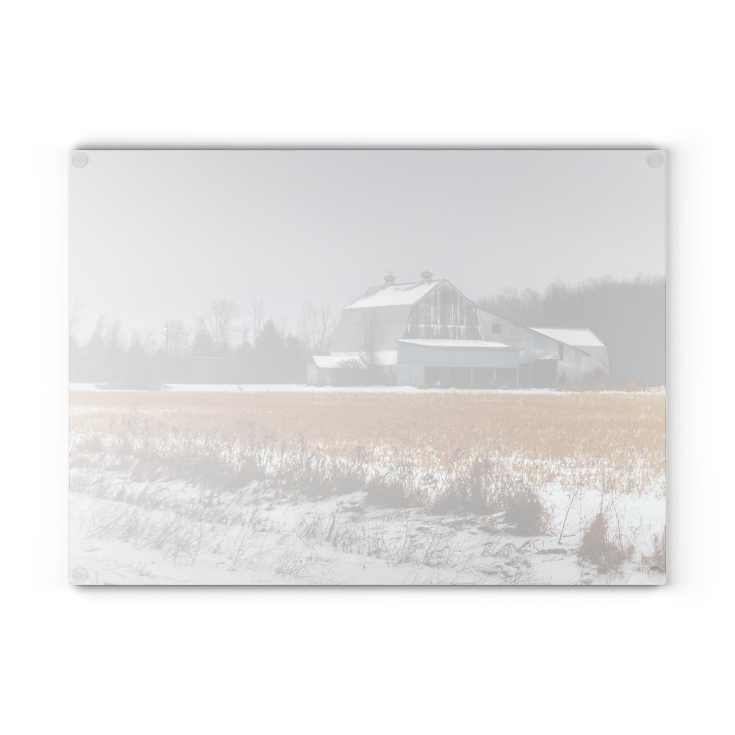 U R There Photography Argyle Road Grey Rustic Farmhouse Tempered-Glass Cutting Board