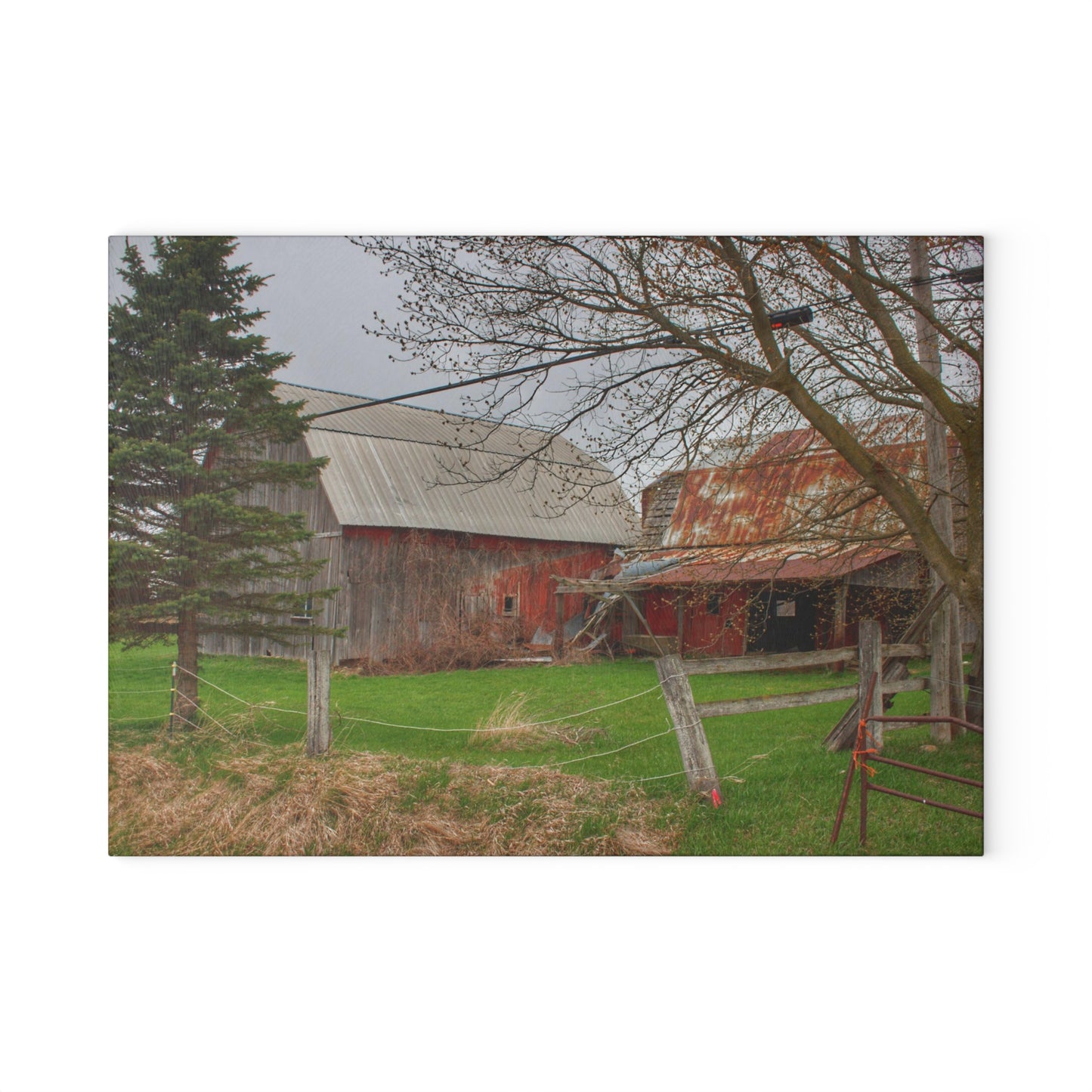 U R There Photography Dodge Road Forgotten Greys Rustic Farmhouse Tempered-Glass Cutting Board