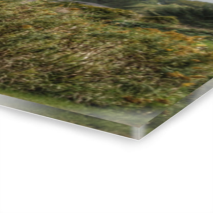 U R There Photography McDowell Road Old Red and Little White Rustic Farmhouse Acrylic Wall Print