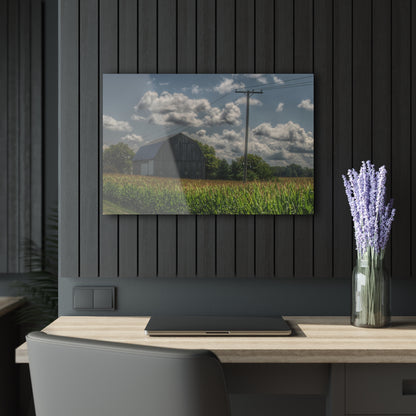 U R There Photography Grey Barn in a Cornfield Rustic Farmhouse Acrylic Wall Print