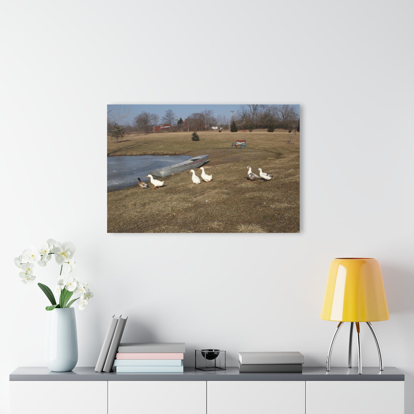 Barn Boutique Modern Farmhouse Acrylic Wall Print| Ducks of Wheeling Road II