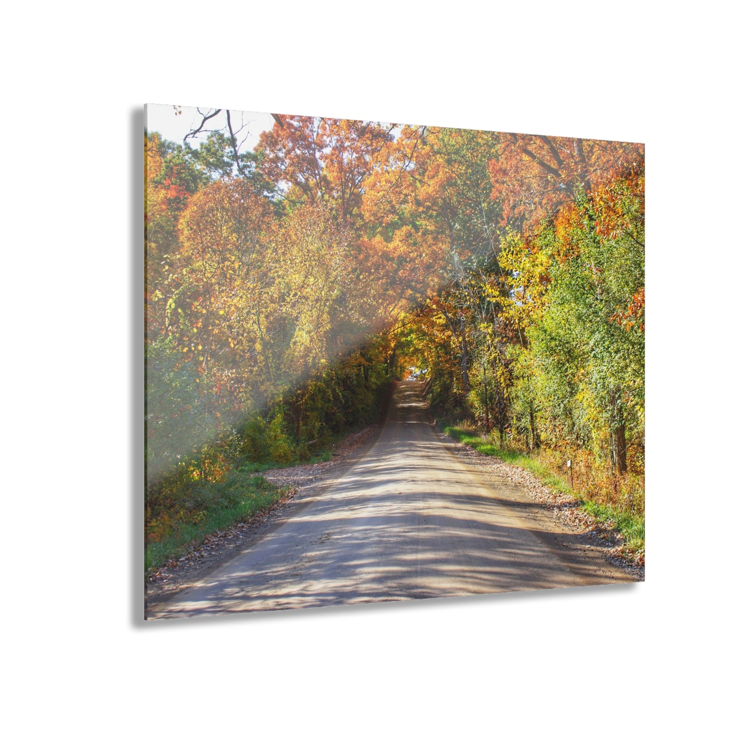 U R There Photography Harson Road in Fall II Rustic Farmhouse Acrylic Wall Print