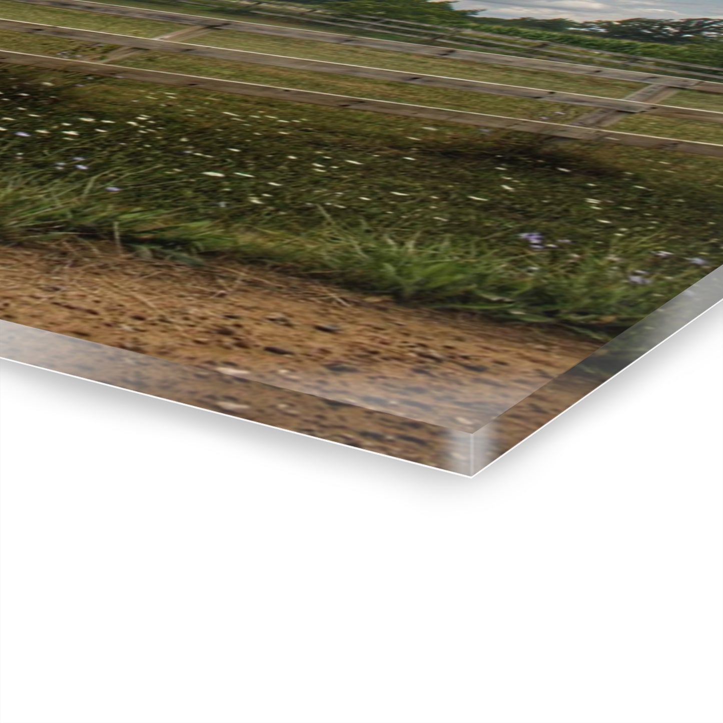 U R There Photography Elba Township Red Rustic Farmhouse Acrylic Wall Print