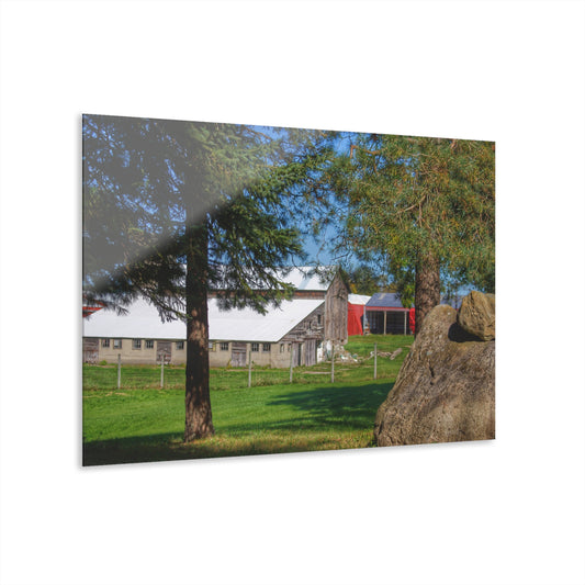 U R There Photography Oakwood Road Old Grey Rustic Farmhouse Acrylic Wall Print