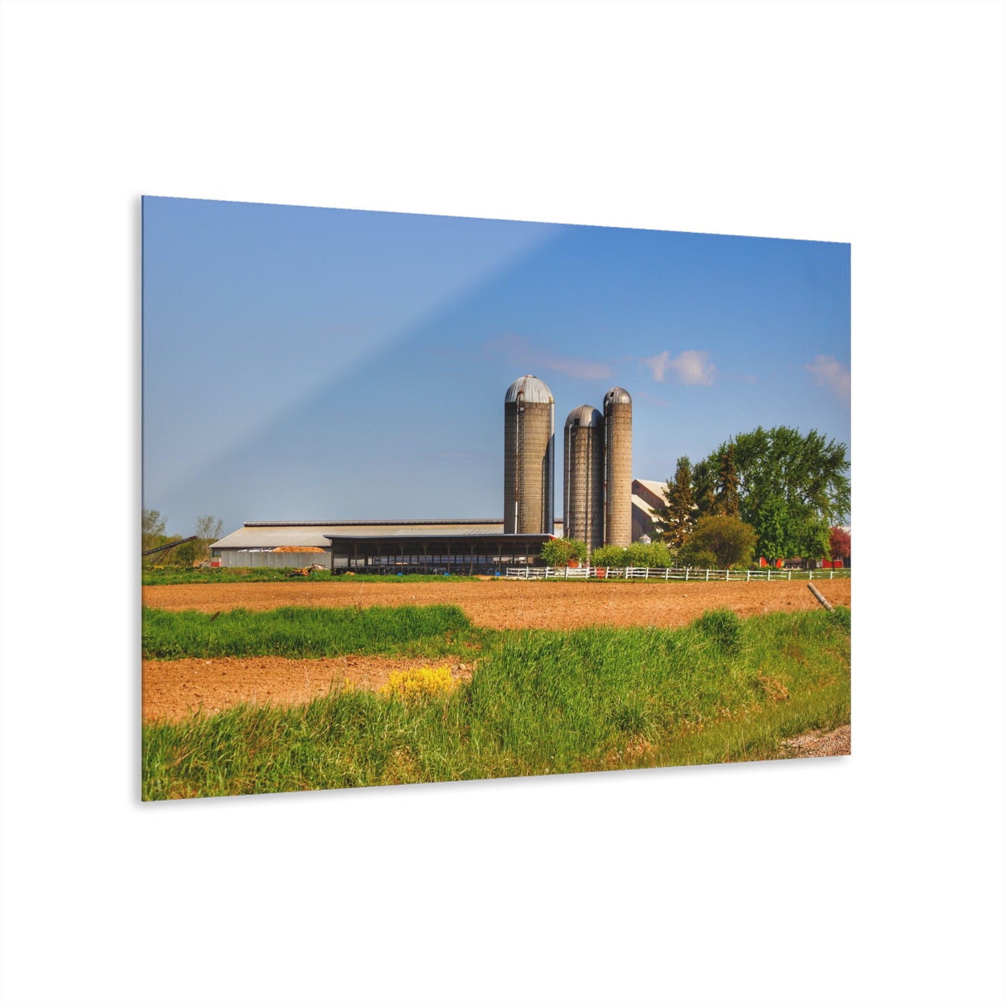 U R There Photography Leslie Road Hidden Rustic Farmhouse Acrylic Wall Print